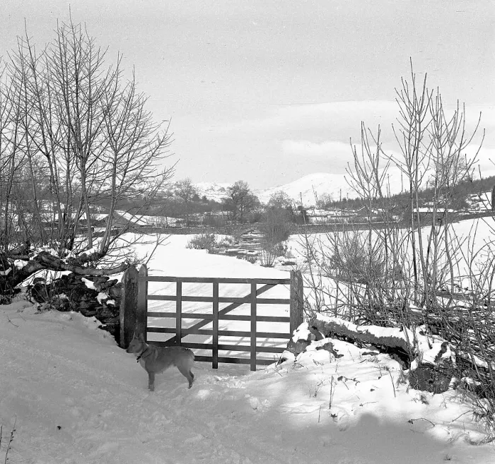 Framed Print : Scene of the Lake District Framed Print : Scene of the Lake District
