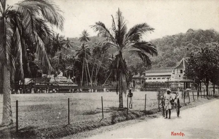 Framed Print : Scene with rickshaw, Kandy, Ceylon (Sri Lanka) Framed Print : Scene with rickshaw, Kandy, Ceylon (Sri Lanka)