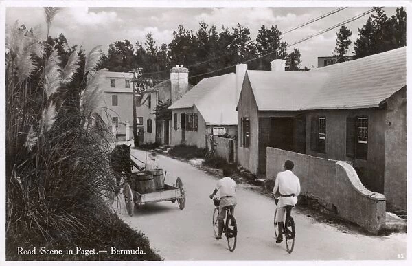 A Scene on a road at Paget, Bermuda