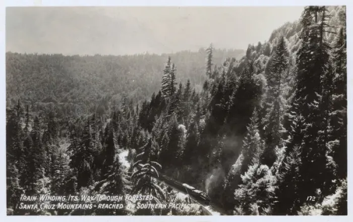 Framed Print : Scene in Santa Cruz Mountains, California, USA Framed Print : Scene in Santa Cruz Mountains, California, USA