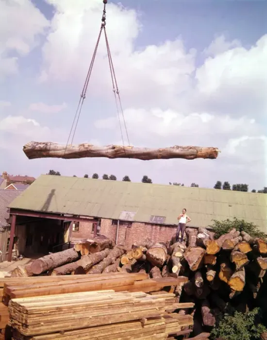Framed Print : Scene in a timber yard, Devon Framed Print : Scene in a timber yard, Devon