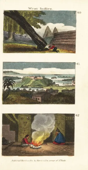 Framed Print : Scenes in the Americas Framed Print : Scenes in the Americas
