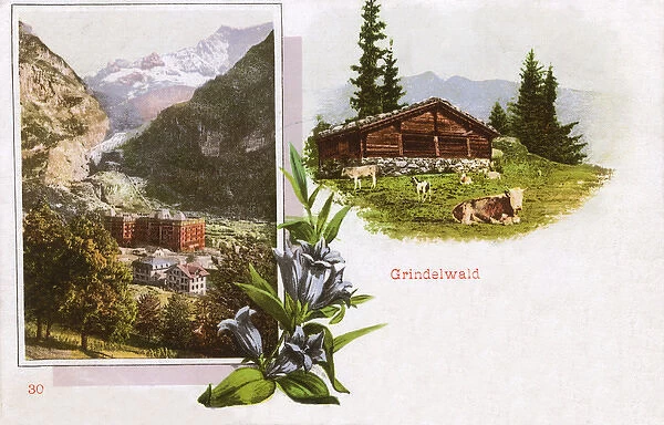 Scenes around Grindelwald