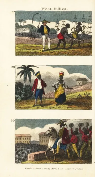 Framed Print : Scenes from the West Indies Framed Print : Scenes from the West Indies