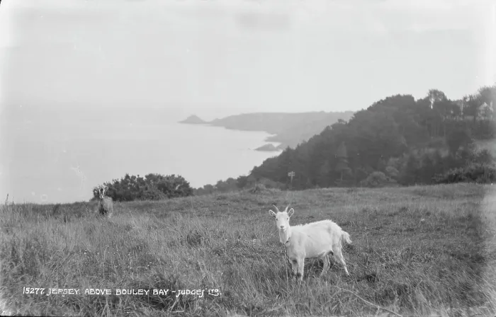 Framed Print : Scenic View Above Bouley Bay Framed Print : Scenic View Above Bouley Bay