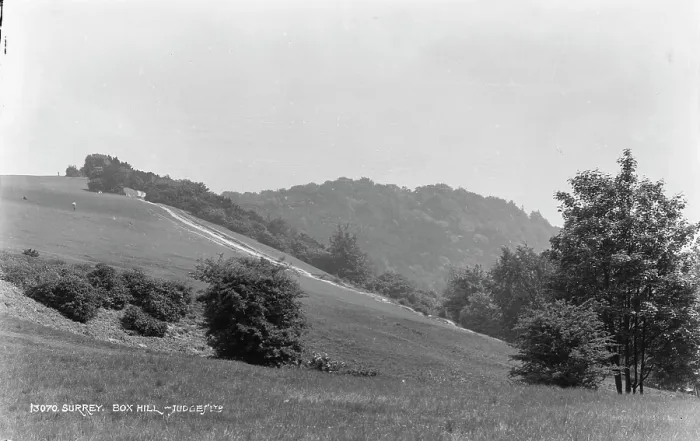 Framed Print : Scenic View of Box Hill Framed Print : Scenic View of Box Hill