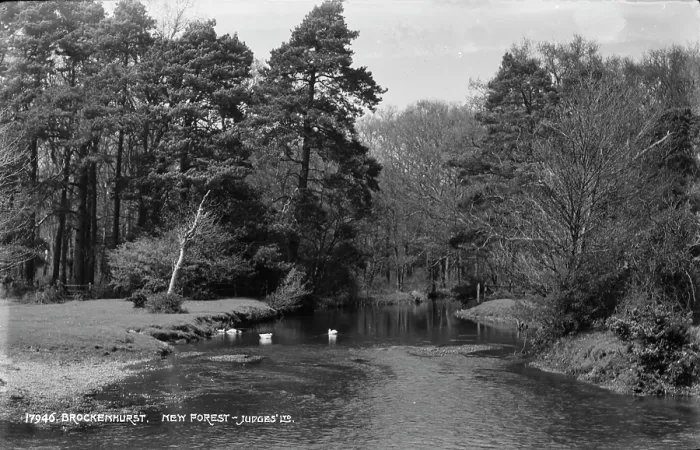 Framed Print : Scenic View of Brockenhurst in New Forest Framed Print : Scenic View of Brockenhurst in New Forest
