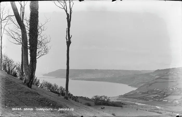 Framed Print : Scenic View Above Charmouth Framed Print : Scenic View Above Charmouth