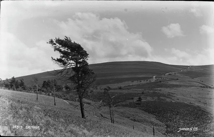 Framed Print : Scenic View of Exmoor Framed Print : Scenic View of Exmoor