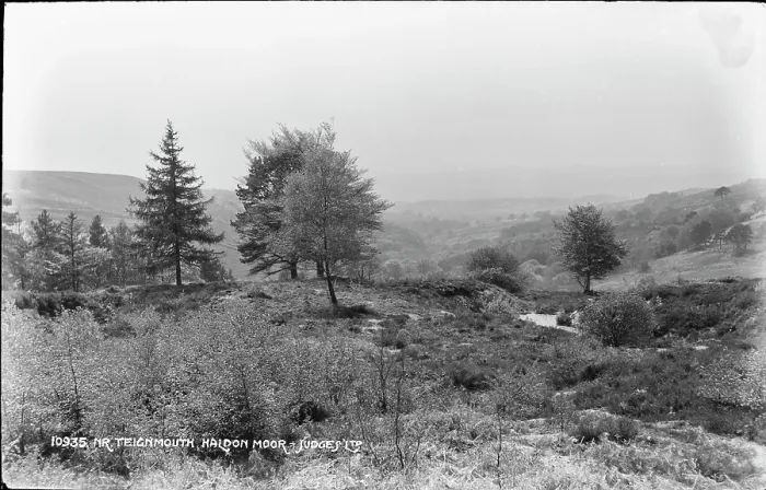 Framed Print : Scenic View of Haldon Moor Framed Print : Scenic View of Haldon Moor