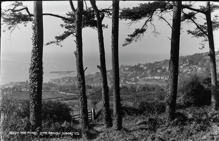 Framed Print : Scenic View from The Pines Framed Print : Scenic View from The Pines