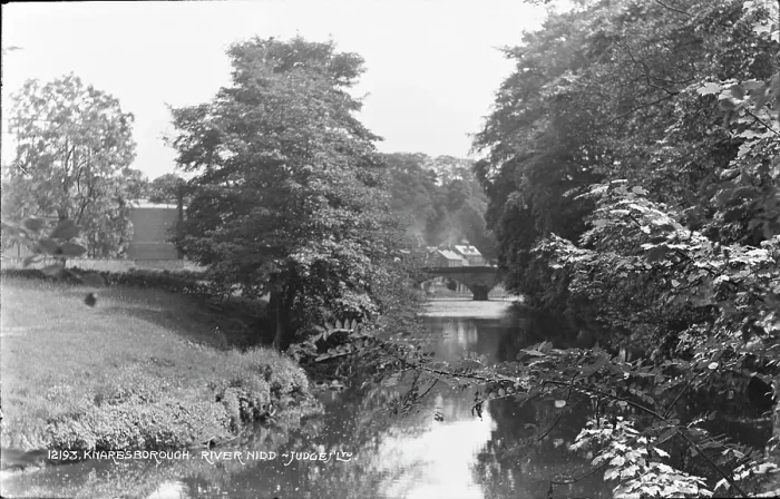 Framed Print : Scenic View of the River Nidd in Knaresborough Framed Print : Scenic View of the River Nidd in Knaresborough