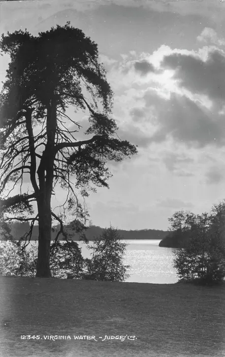 Framed Print : Scenic View of Virginia Water Framed Print : Scenic View of Virginia Water
