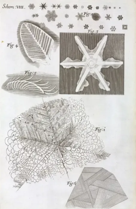Framed Print : Schem VIII from Robert Hookes Micrographia Framed Print : Schem VIII from Robert Hookes Micrographia
