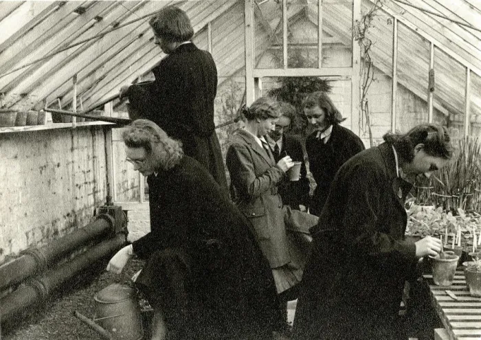 Framed Print : Schoolgirls in greenhouse learning horticulture Framed Print : Schoolgirls in greenhouse learning horticulture