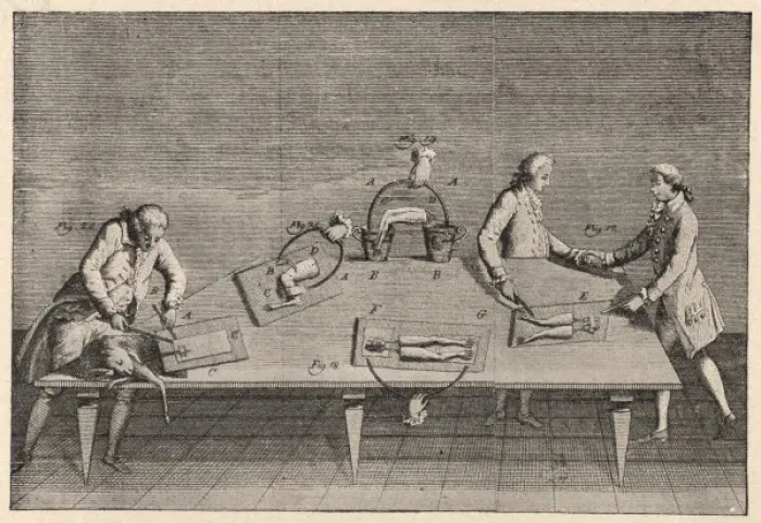 Framed Print : Science / Galvani / Electric Framed Print : Science / Galvani / Electric