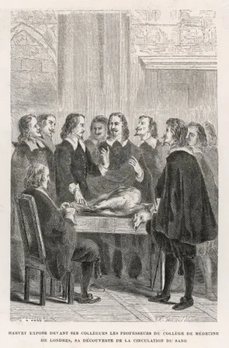Framed Print : Science / Harvey / Torington Framed Print : Science / Harvey / Torington