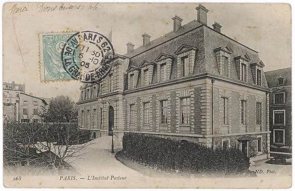 Science  /  Pasteur  /  Institut