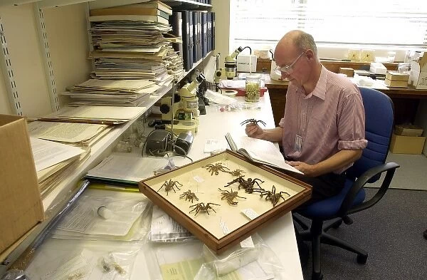 Scientist identifying specimens
