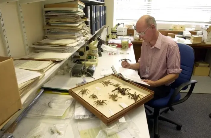 Framed Print : Scientist identifying specimens Framed Print : Scientist identifying specimens