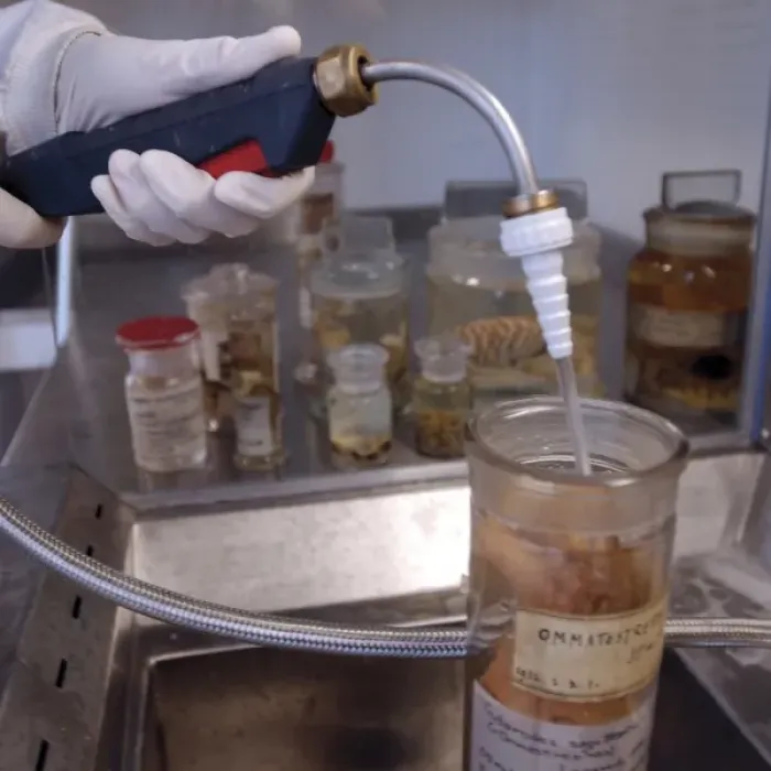 Framed Print : Scientist at work adding alcohol to a specimen jar