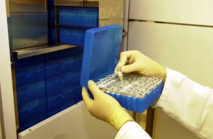 Framed Print : Scientist working with tissue collection Framed Print : Scientist working with tissue collection