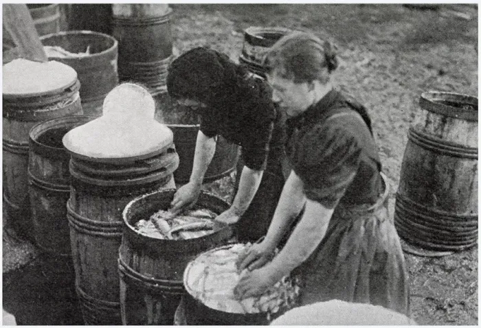 Framed Print : Scotch Herring Women Workers 1902 Framed Print : Scotch Herring Women Workers 1902