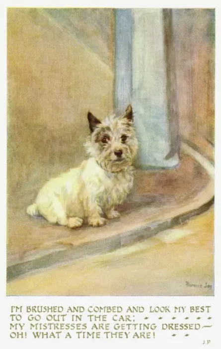Framed Print : Scotch terrier Framed Print : Scotch terrier