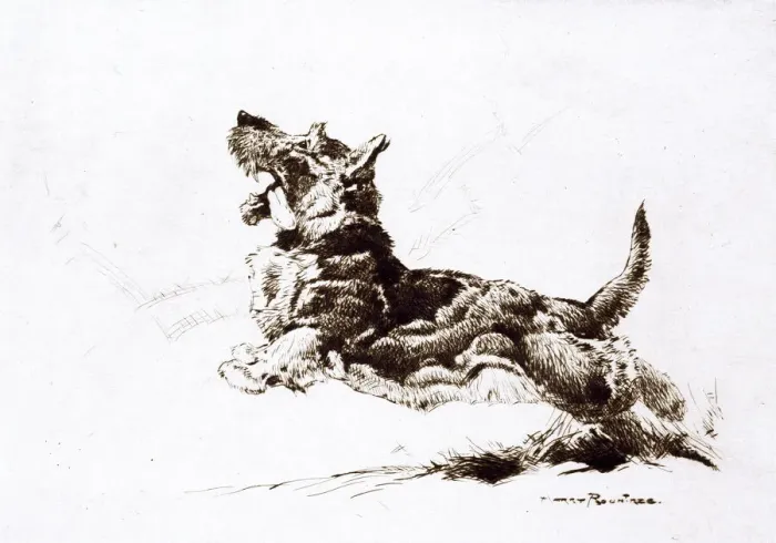 Framed Print : Scottie, Scottish Terrier, by Harry Rountree Framed Print : Scottie, Scottish Terrier, by Harry Rountree