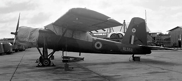 Scottish Aviation Pioneer CC. 1 XL558