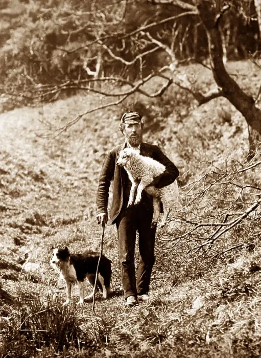 Framed Print : Scottish farmer and his dog Framed Print : Scottish farmer and his dog