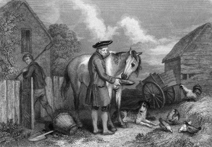 Framed Print : A Scottish farmer feeding oats to his horse Framed Print : A Scottish farmer feeding oats to his horse