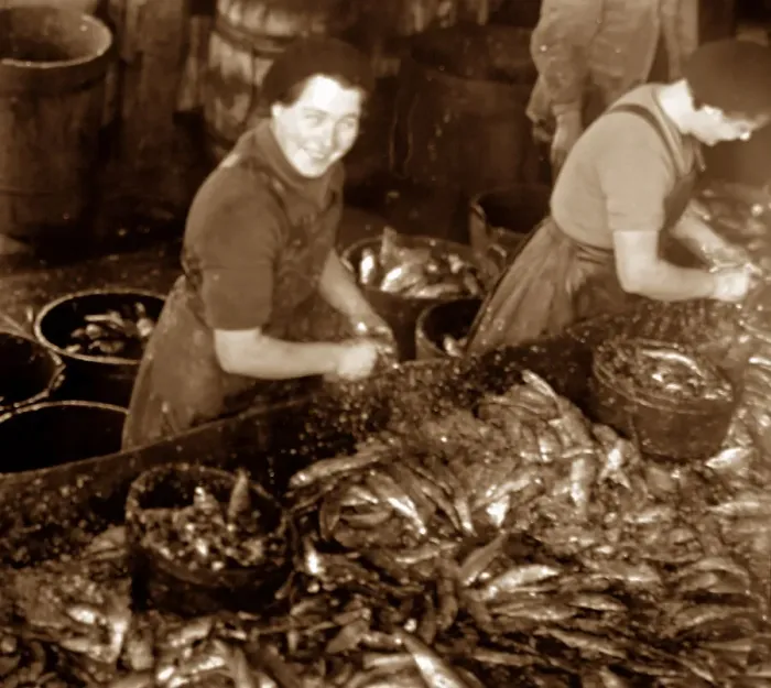Framed Print : Scottish fisher girls (herring gutters and packers) Framed Print : Scottish fisher girls (herring gutters and packers)
