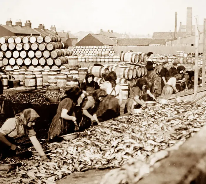 Framed Print : Scottish fisher girls (herring gutters and packers) Framed Print : Scottish fisher girls (herring gutters and packers)