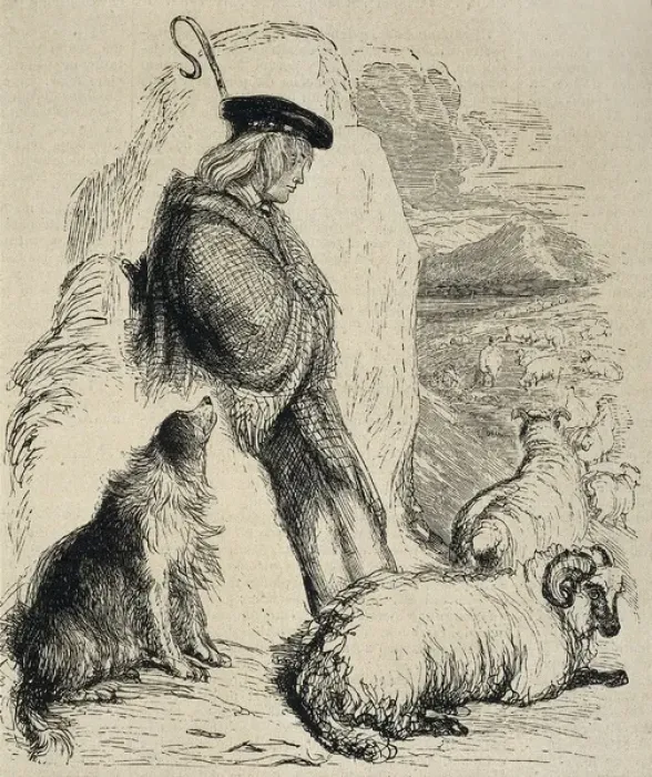 Framed Print : Scottish shepherd, illustration from The illustrated Framed Print : Scottish shepherd, illustration from The illustrated