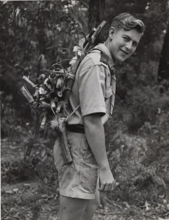 Framed Print : Scout carrying wood on his back in Australia Framed Print : Scout carrying wood on his back in Australia