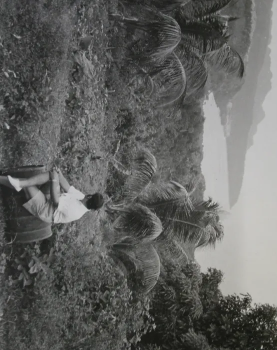 Framed Print : Scout leader near coast, Dominica, West Indies Framed Print : Scout leader near coast, Dominica, West Indies