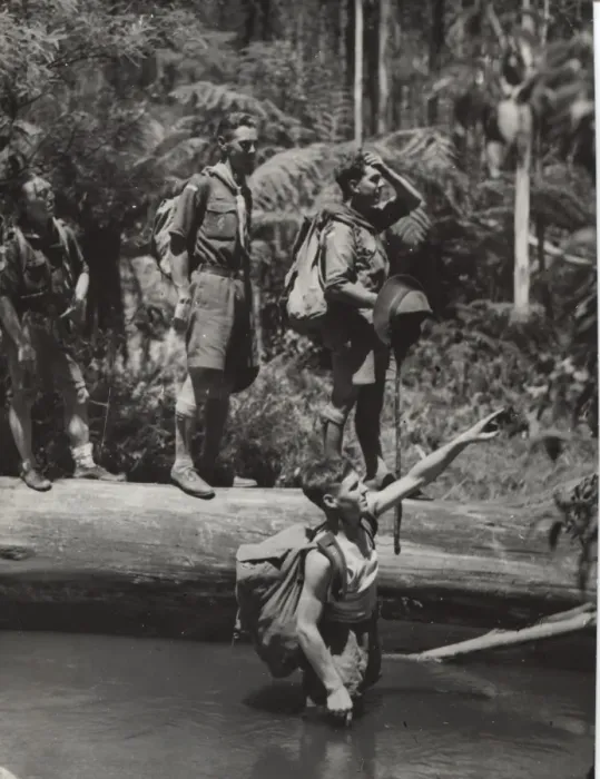 Framed Print : Scouts exploring the bush, Australia Framed Print : Scouts exploring the bush, Australia