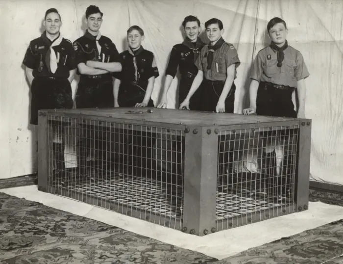 Framed Print : Scouts during Wartime Framed Print : Scouts during Wartime