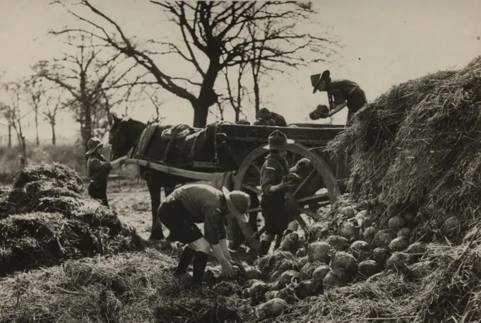 Framed Print : Scouts during Wartime Framed Print : Scouts during Wartime
