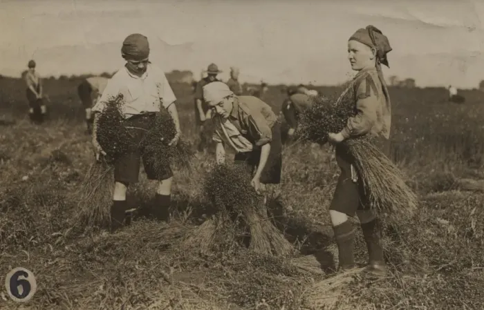 Framed Print : Scouts during Wartime