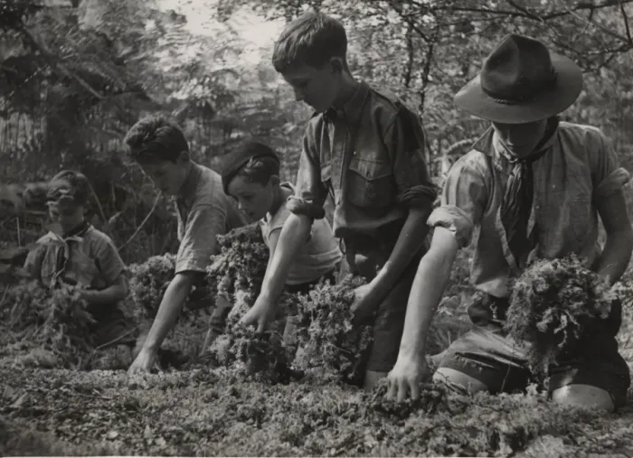 Framed Print : Scouts during Wartime Framed Print : Scouts during Wartime