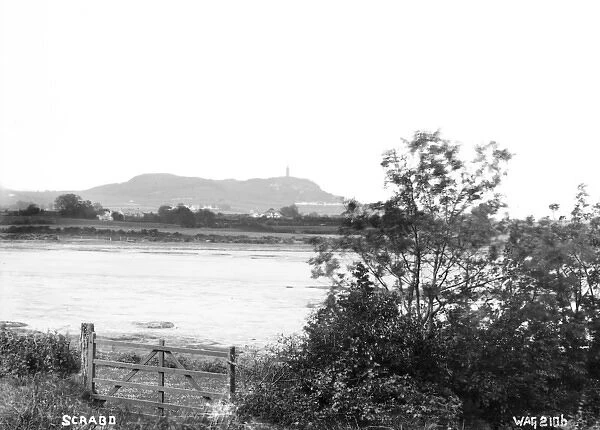 Scrabo - a view of the distant tower with the Lough in the foreground