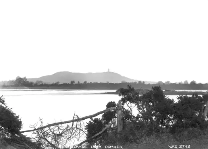 Framed Print : Scrabo from Comber Framed Print : Scrabo from Comber