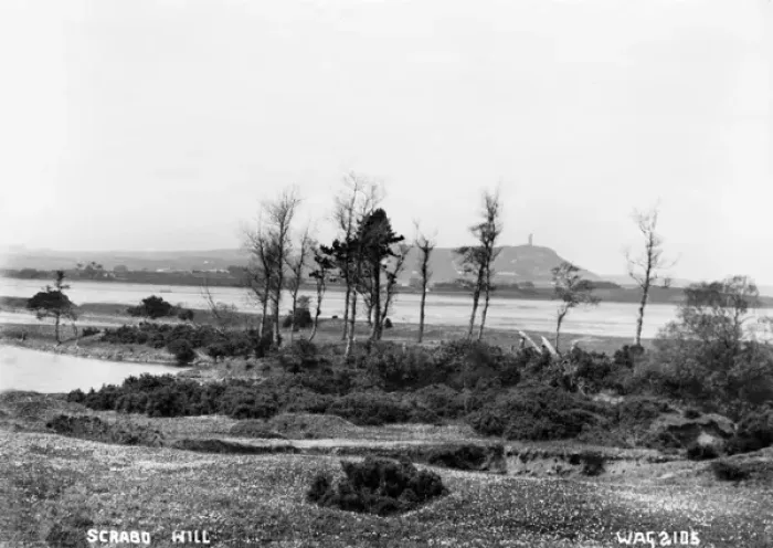 Framed Print : Scrabo Hill Framed Print : Scrabo Hill