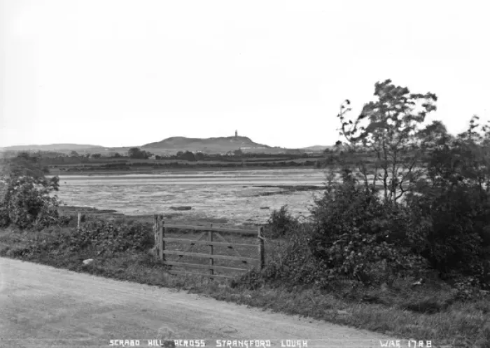 Framed Print : Scrabo Hill Cross Strangford Lough Framed Print : Scrabo Hill Cross Strangford Lough