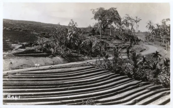 Framed Print : Sculptured field in Bali, Indonesia Framed Print : Sculptured field in Bali, Indonesia