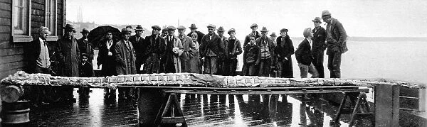 Sea monster discovered in British Columbia