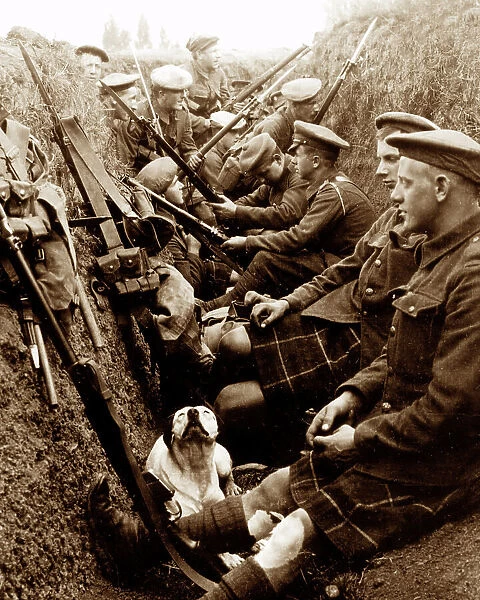 Seaforth Highlanders and dog in a WW1 trench