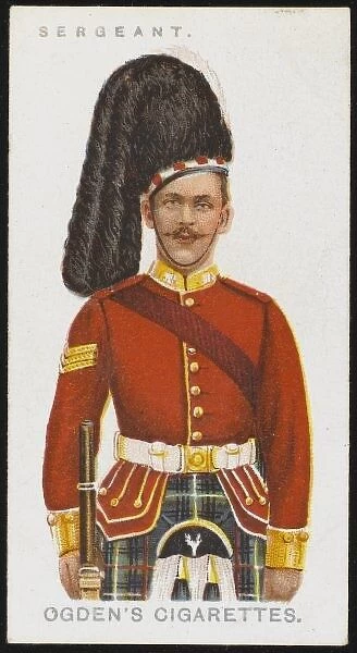 Seaforth Sergeant. A Sergeant from the Seaforth Highlanders